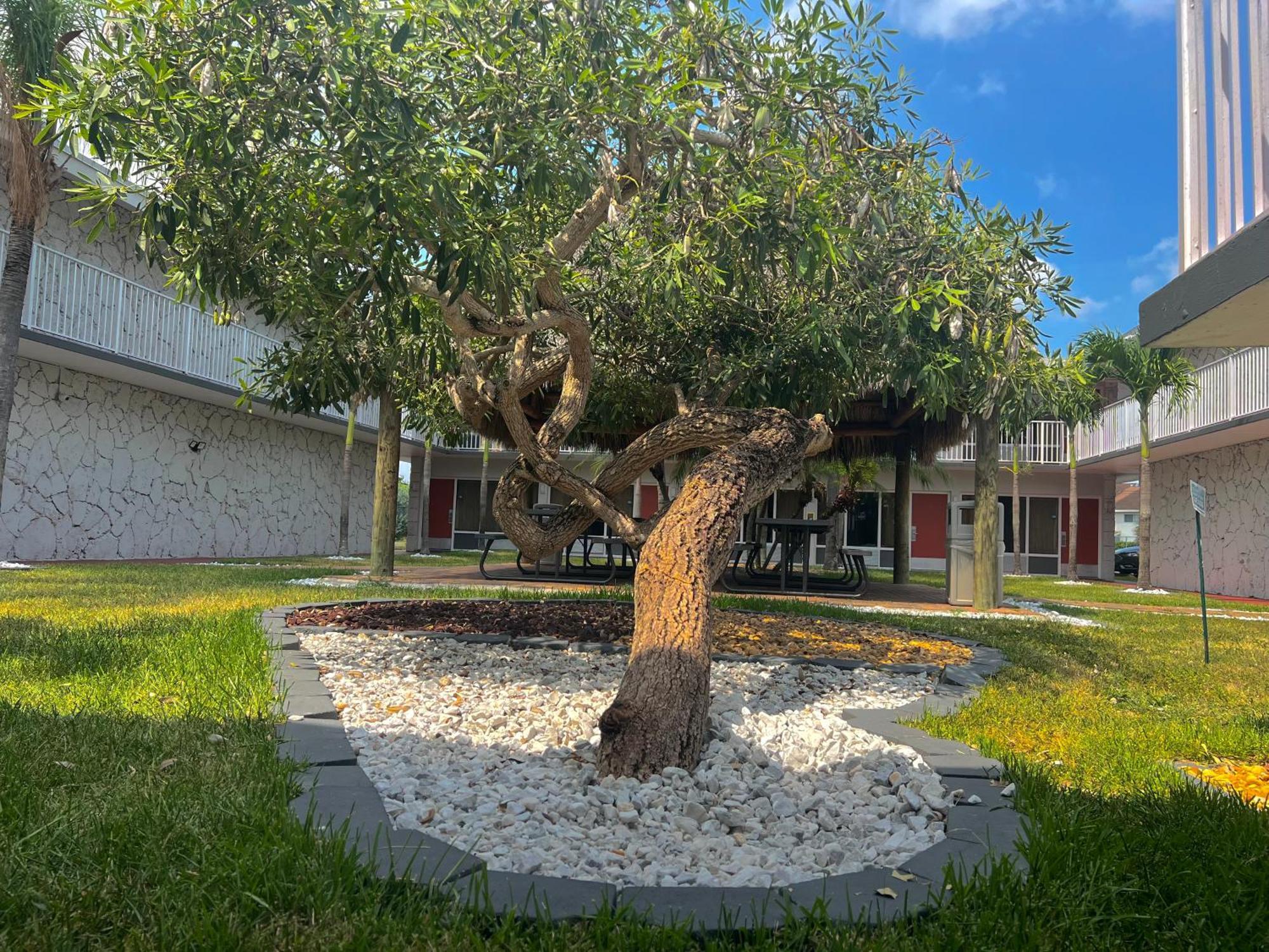 Garden Inn Homestead/Everglades/Gateway To Keys Ngoại thất bức ảnh